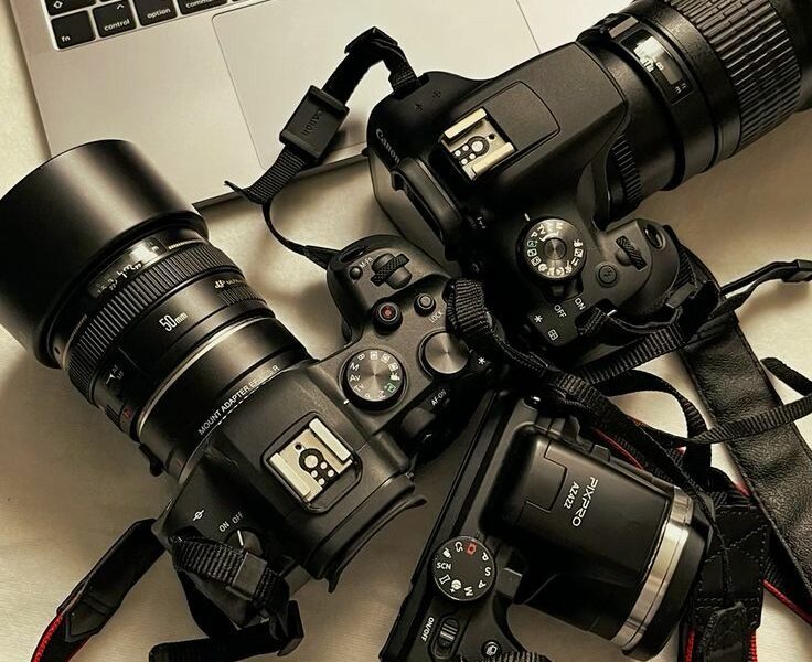 Best Cameras for Beginners and Content Creators in 2026