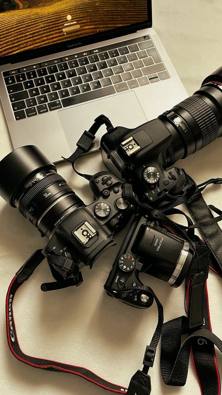 Best Cameras for Beginners and Content Creators in 2026